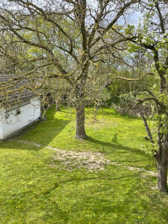 Kleines Haus Am Feld Villa Rehna Eksteriør bilde