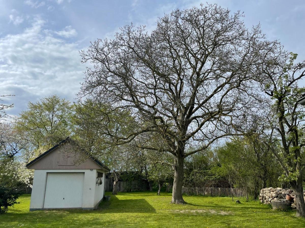 Kleines Haus Am Feld Villa Rehna Eksteriør bilde